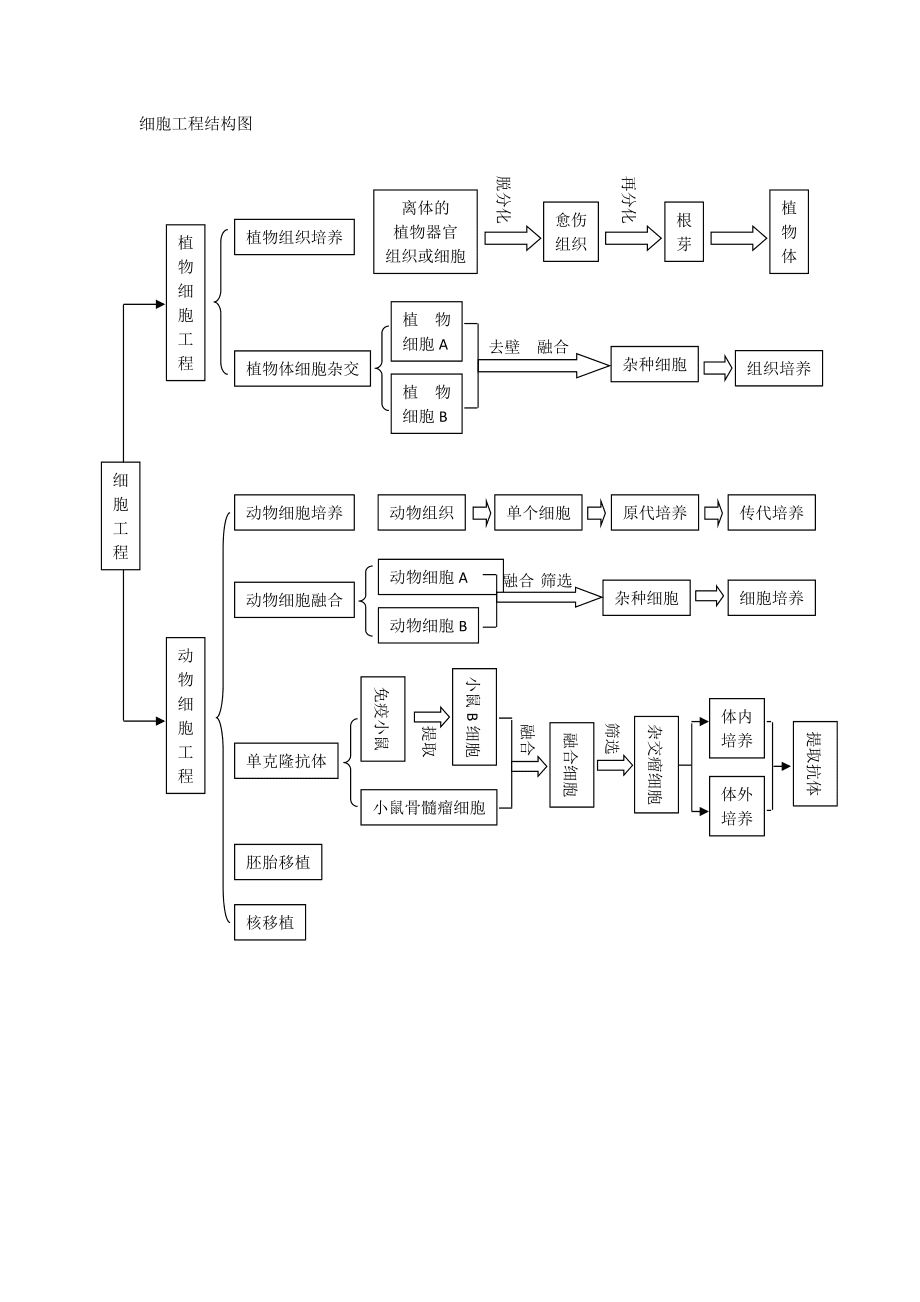 細(xì)胞工程結(jié)構(gòu)圖 從分子到系統(tǒng)的多維解構(gòu)